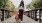 a person walking a dog on a bridge