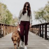 a person walking a dog on a bridge