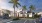 a street with cars and palm trees